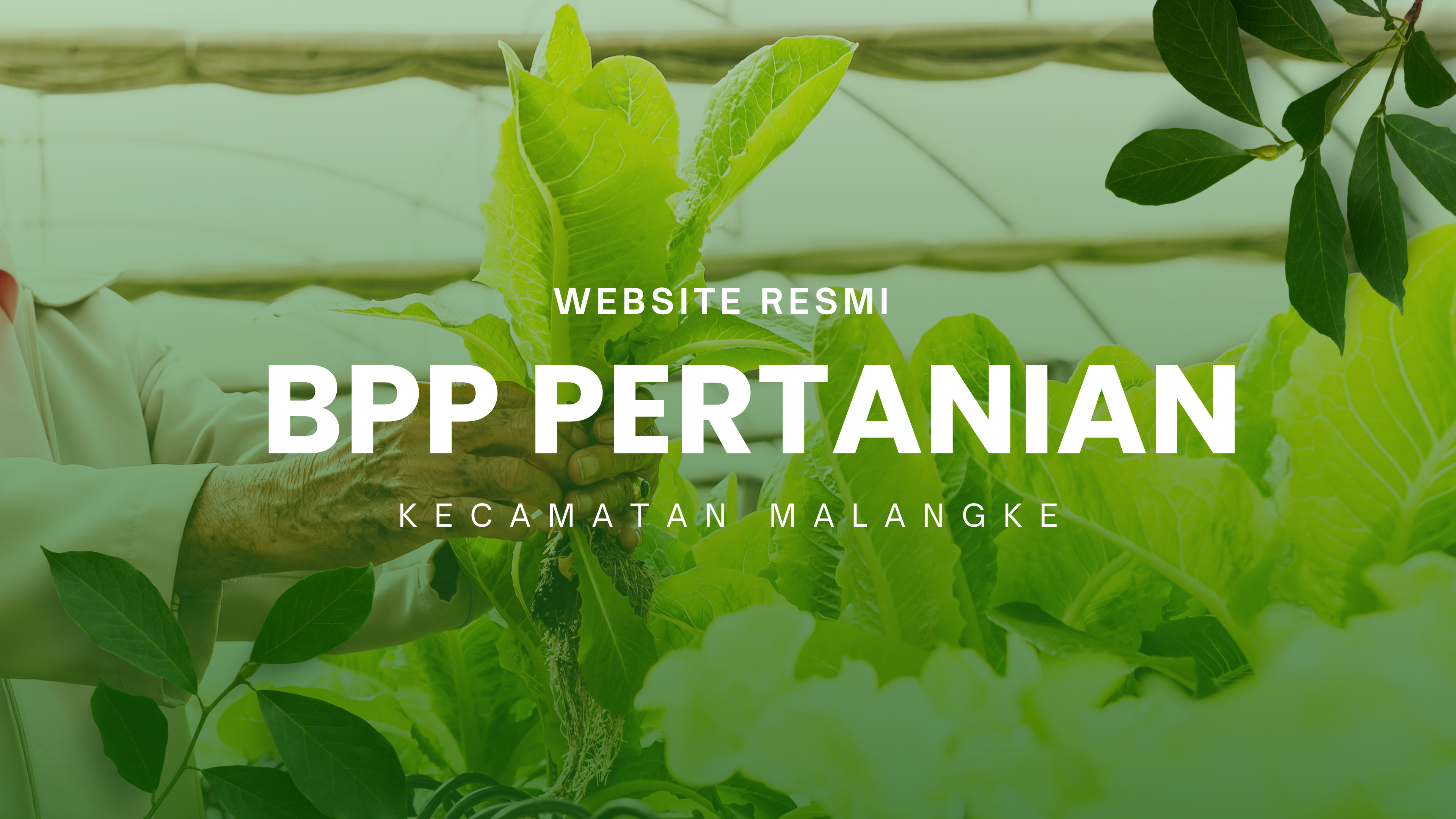 Background BPP Malangke